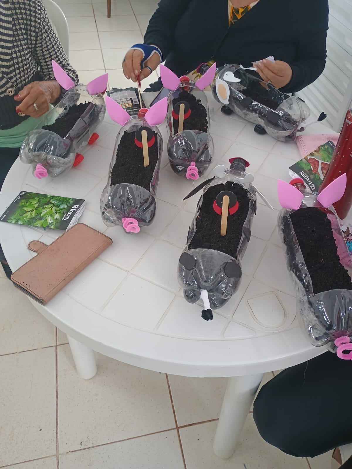 Mãos que Plantam, Memórias que Florescem